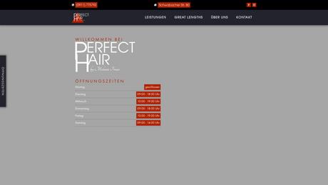 PERFECT HAIR